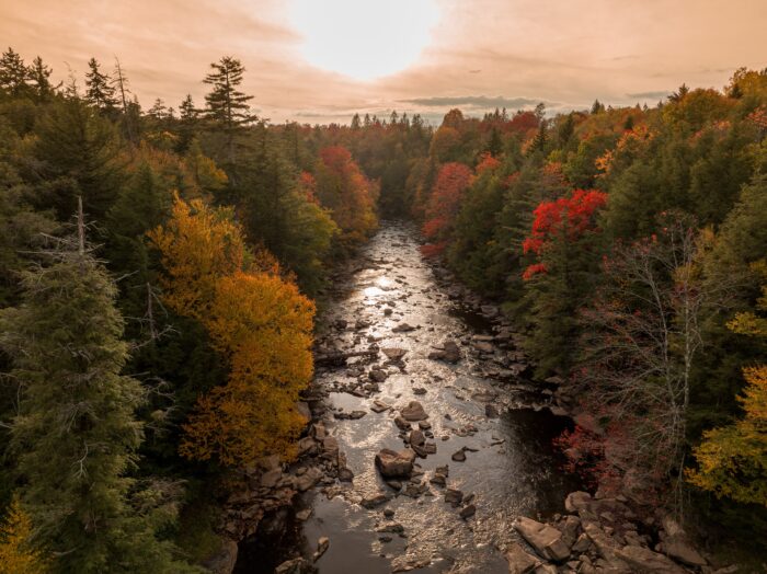 Fall, Blackwater Falls State Park