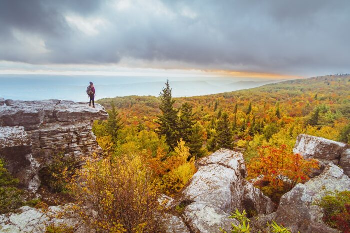Fall, Dolly Sods, hiker