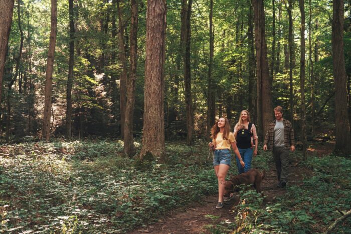 Family, walking in the woods