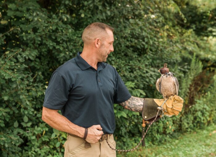 Falconry