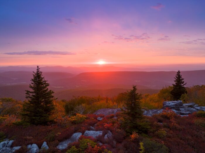 Dolly Sods Wilderness