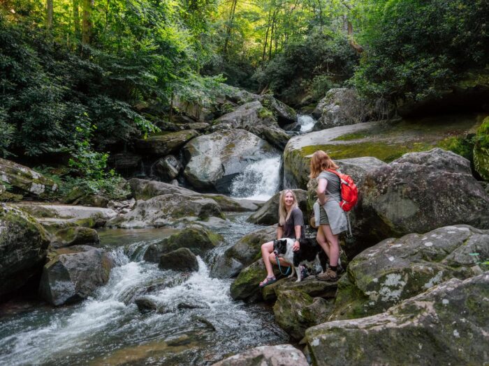 Kaymoor, hikers, dog
