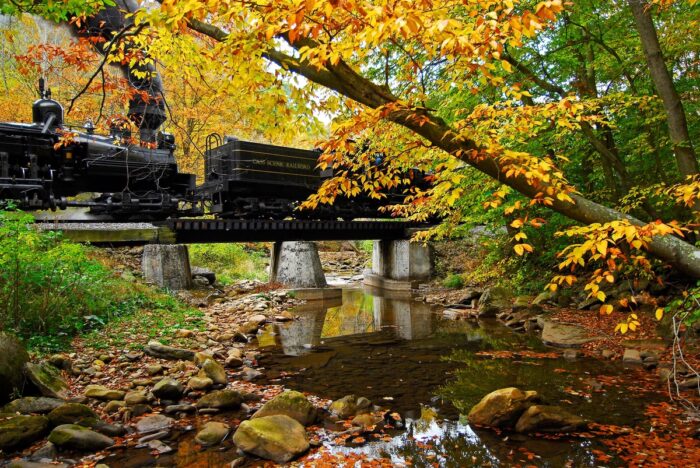 cass scenic railroad train