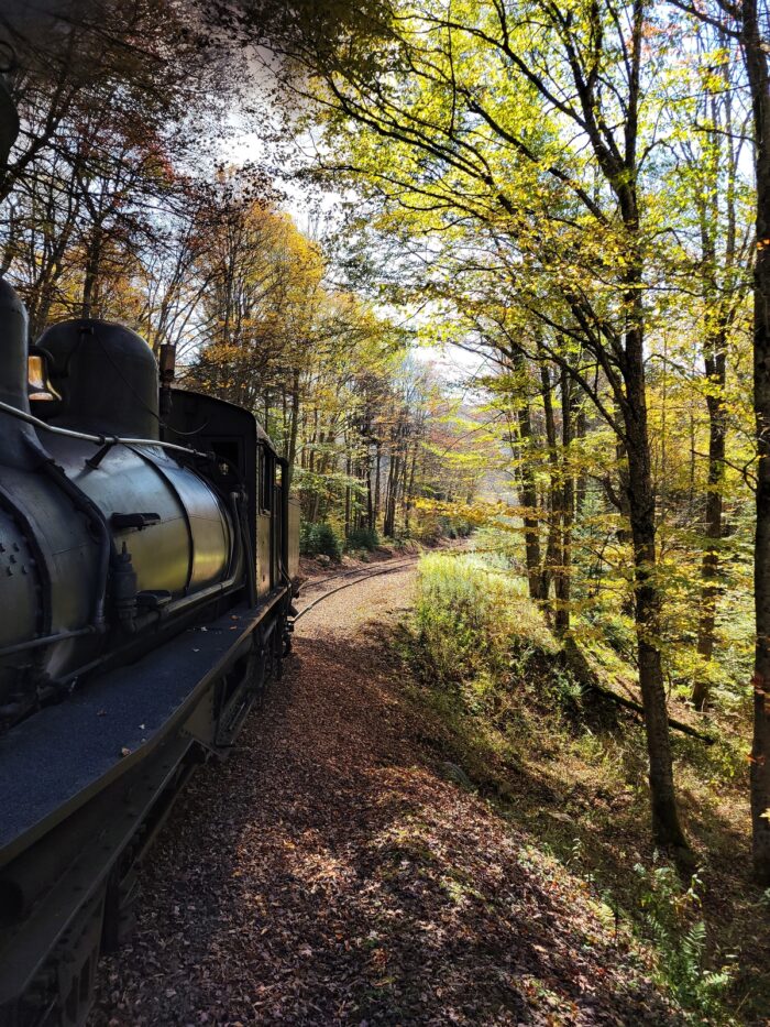 Cass scenic railroad train