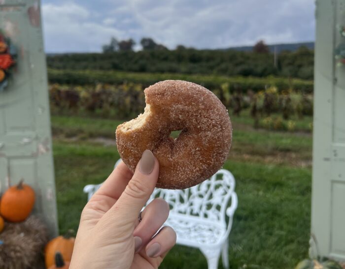 Orr's Farm Market, donut