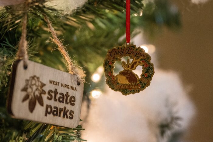 Chief Logan State Park, Ornament