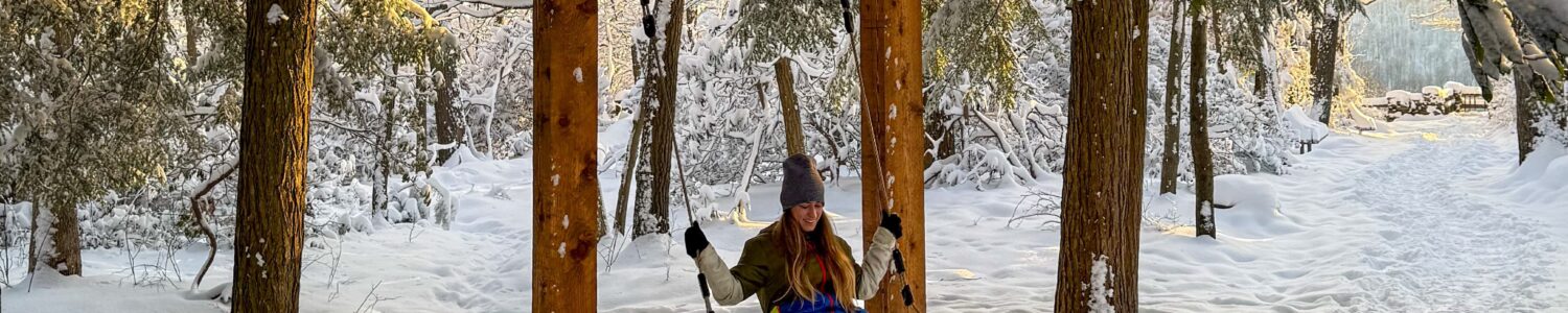 Almost Heaven Swing, winter