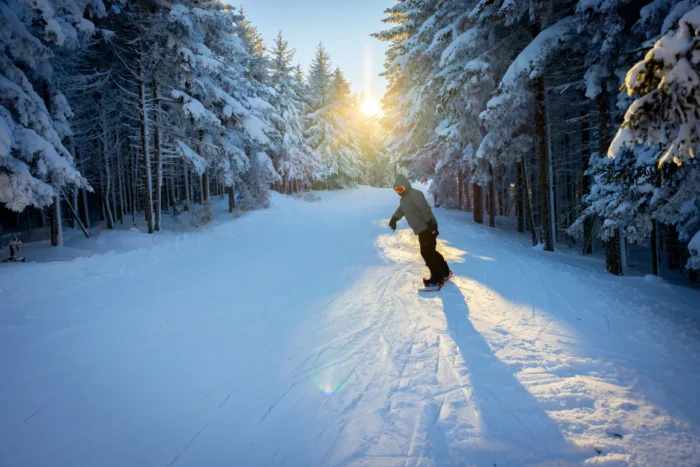 Snowboarder riding down a snowy forest trail at sunrise.