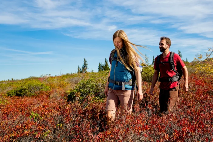 Two hikers walking through low shrubs with backpacks under blue sky