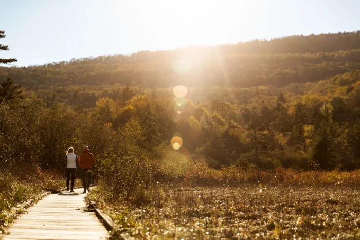 Two people walking on wooden boardwalk through sunlit field with hills beyond