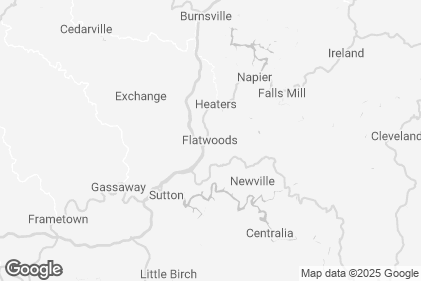 Photo preview of The Flatwoods Monster Chairs