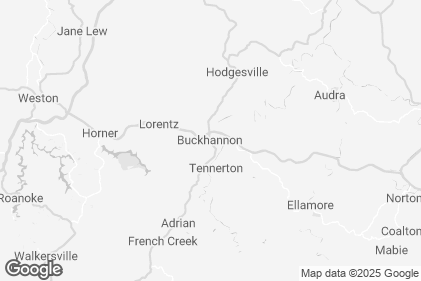 Photo preview of WV Strawberry Festival