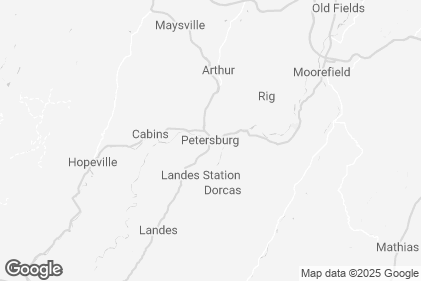 Photo preview of Cheetah B's