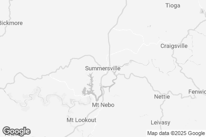 Photo preview of Almost Heaven Swing at Summersville Lake State Park