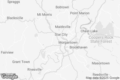 Photo preview of West Virginia Black Bears